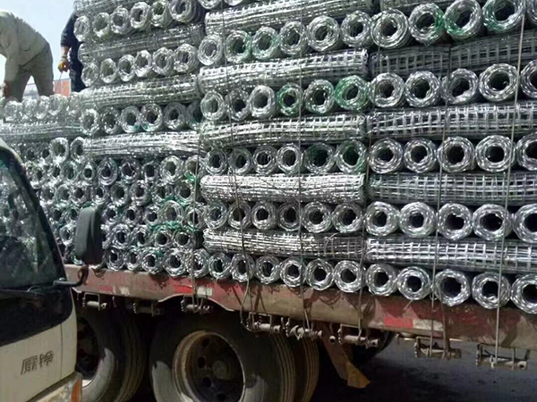 青海鄭經理經緯網發貨圖片1