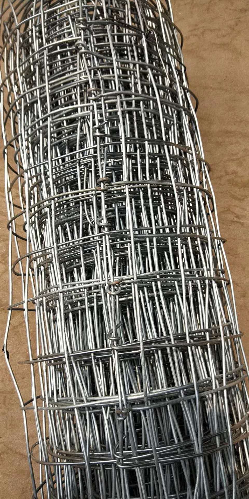 1563759656141208.jpg 經緯網2.jpg