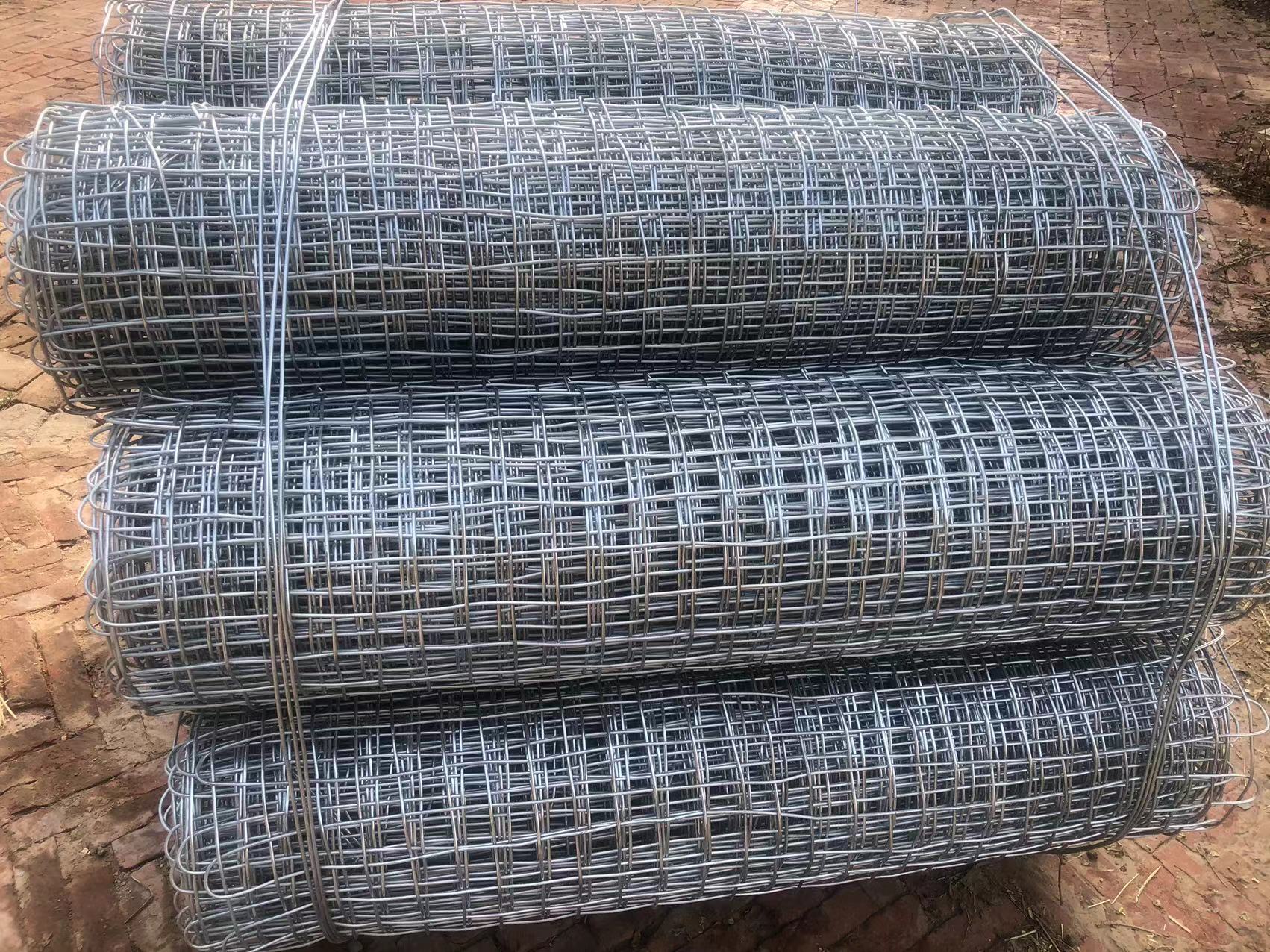 鍍鋅礦用經緯網 煤礦支護網 特殊規(guī)格可定做圖片3