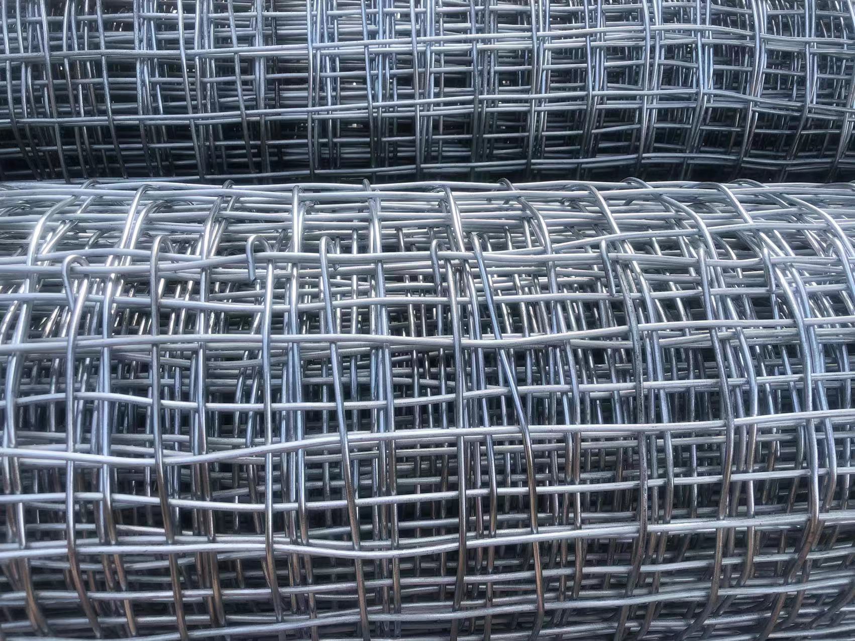 濟寧礦用經緯網圖片3